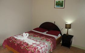Hotel Vista Al Tortuguero