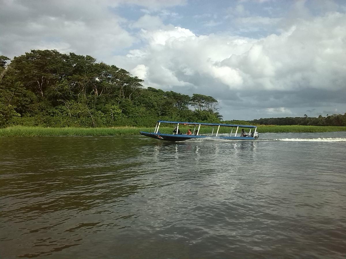 Hotel Vista Al Tortuguero Cariari  Extérieur photo